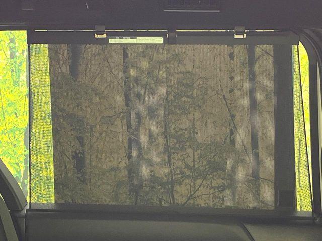 ヴォクシー(新潟県新潟市東区)