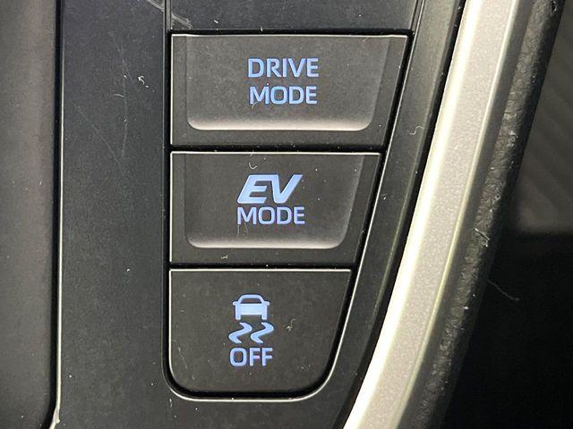 ヴォクシー(新潟県新潟市東区)