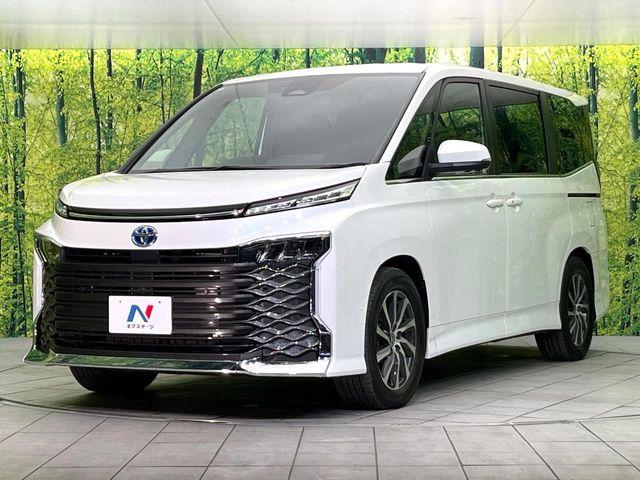 ヴォクシー(新潟県新潟市東区)