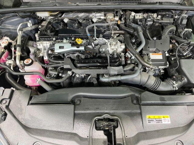 プリウス（新潟県長岡市）