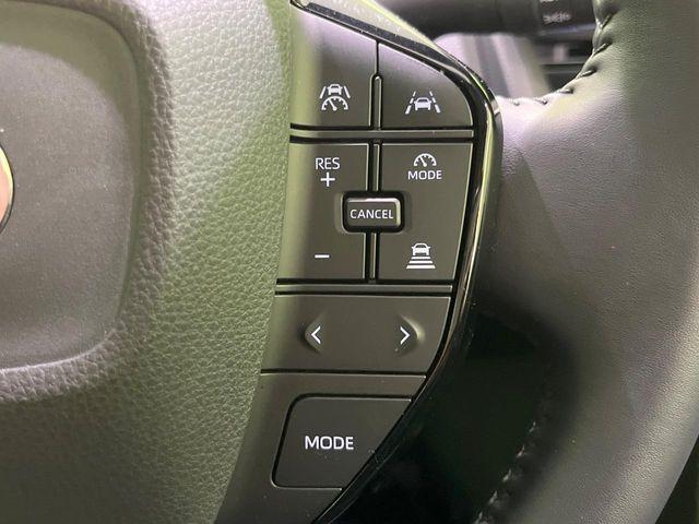 プリウス（新潟県長岡市）