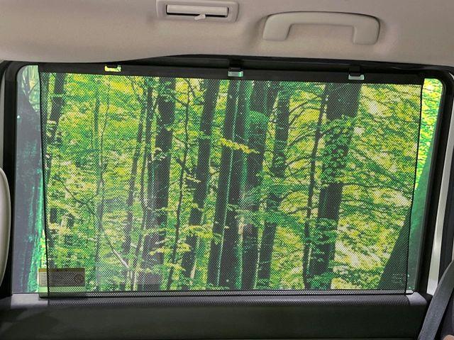 セレナ（新潟県長岡市）画像58