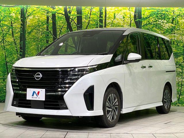 セレナ（新潟県長岡市）画像66