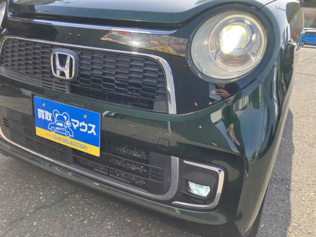 N_ONE（新潟県新潟市中央区）