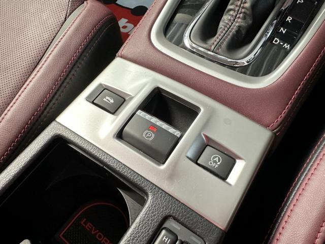 レヴォーグ(新潟県長岡市)