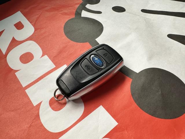 レヴォーグ(新潟県長岡市)