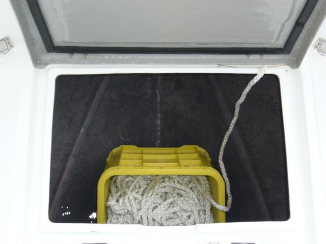 アメリカ その他（新潟県新潟市南区）画像70