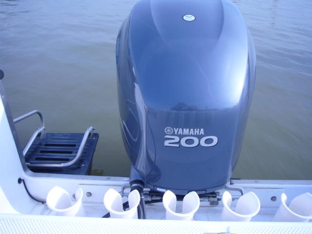 アメリカ その他（新潟県新潟市南区）画像83