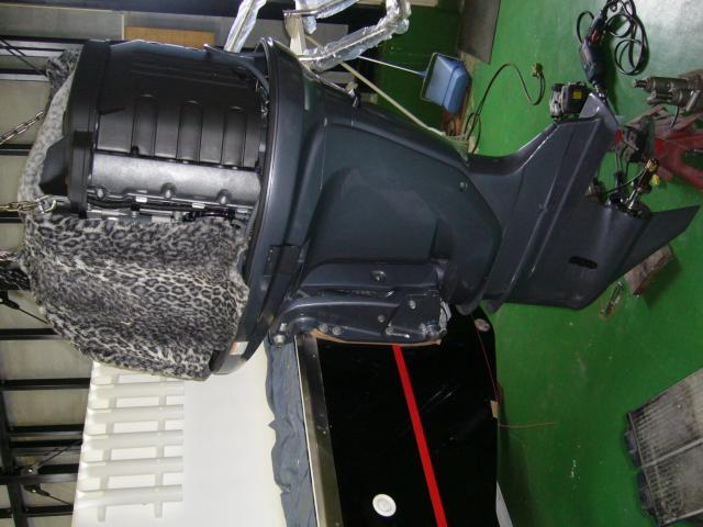 アメリカ その他（新潟県新潟市南区）画像85