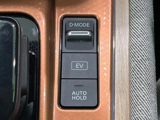 オーラ（新潟県長岡市）画像35