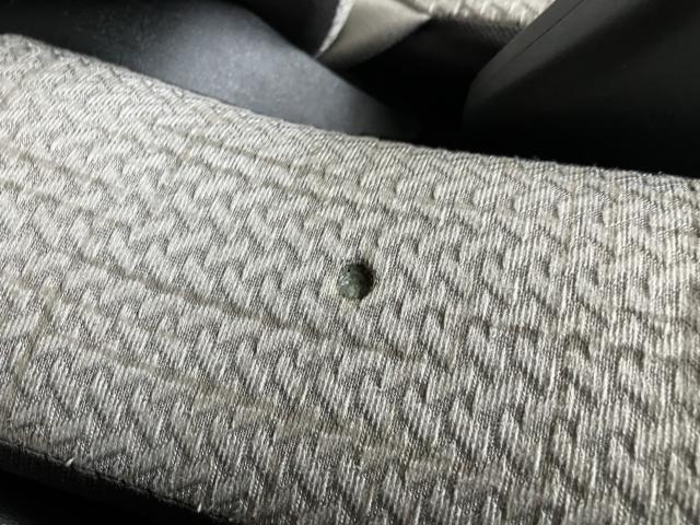 デイズ（新潟県新潟市西蒲区）