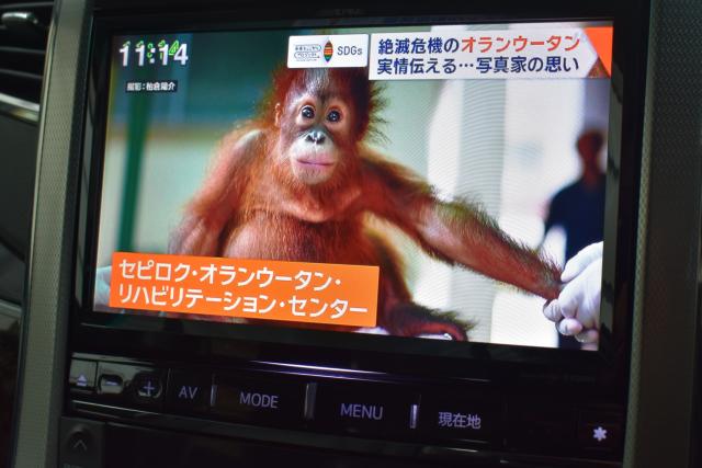 ヴェルファイア（新潟県新潟市西区）