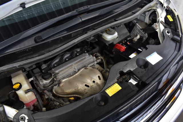 ヴェルファイア（新潟県新潟市西区）