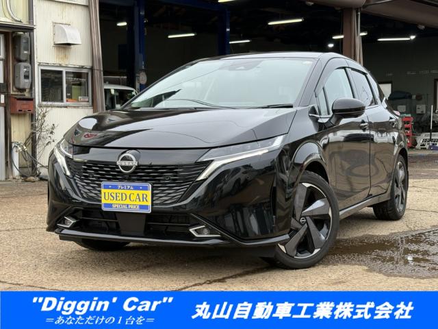 オーラ（新潟県上越市）