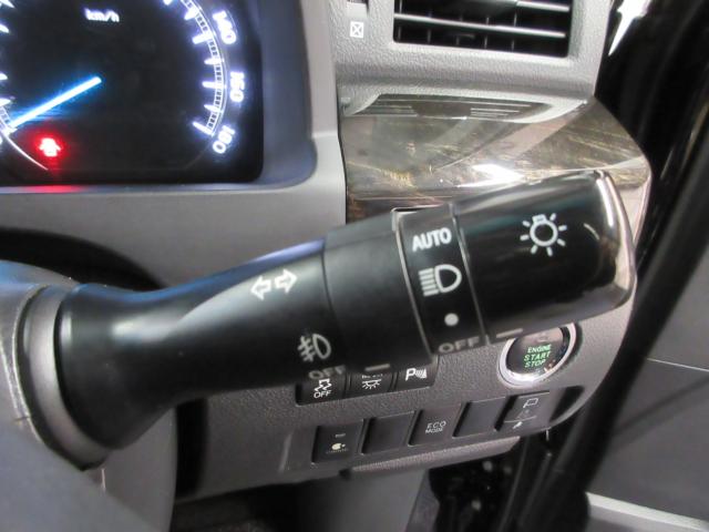 ヴェルファイア（新潟県新潟市南区）