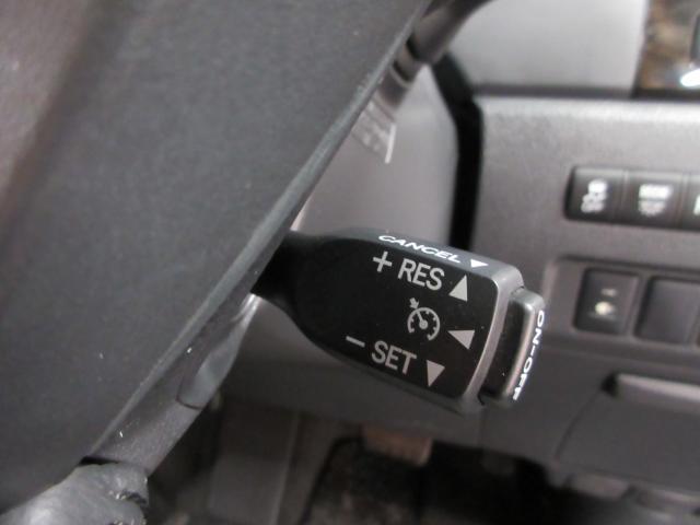 ヴェルファイア（新潟県新潟市南区）