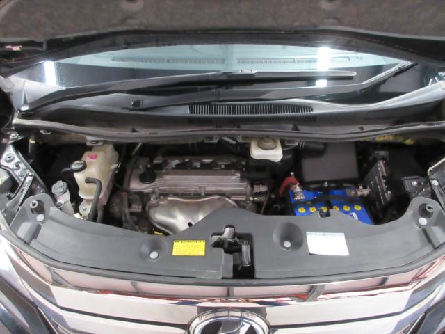 ヴェルファイア（新潟県新潟市南区）