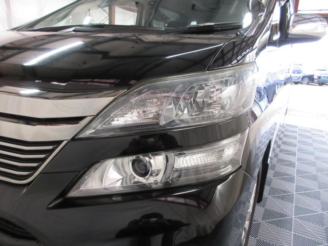 ヴェルファイア（新潟県新潟市南区）