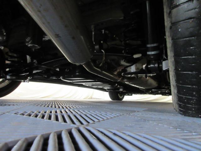 ヴェルファイア（新潟県新潟市南区）