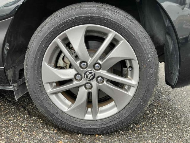 シエンタ(新潟県新潟市中央区)