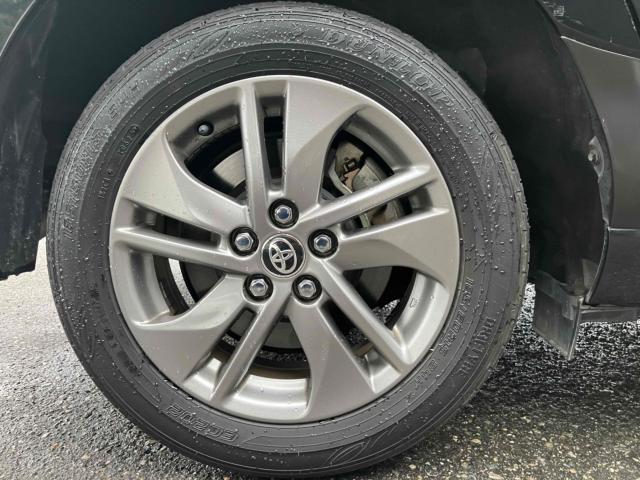 シエンタ(新潟県新潟市中央区)