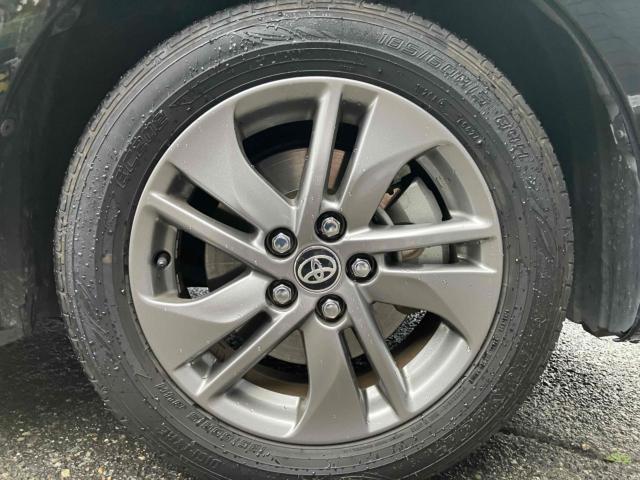 シエンタ(新潟県新潟市中央区)