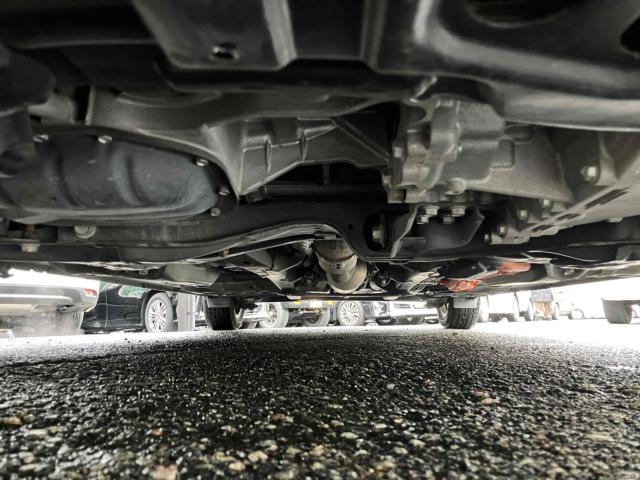 シエンタ(新潟県新潟市中央区)