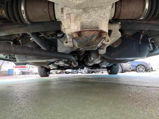 ヴィッツ（新潟県長岡市）