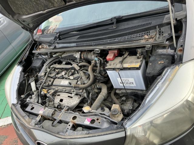 ヴィッツ（新潟県長岡市）