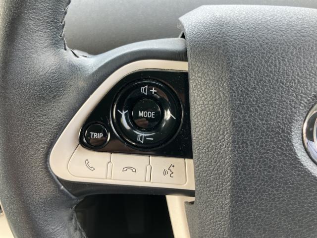 プリウス(新潟県長岡市)