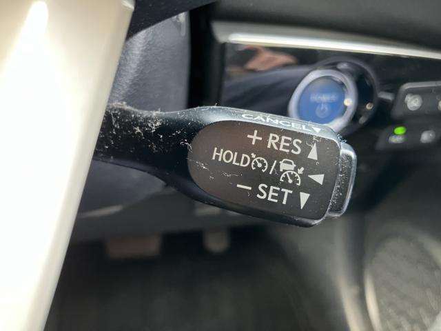 プリウス(新潟県長岡市)