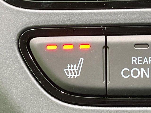 フリード（新潟県長岡市）画像27