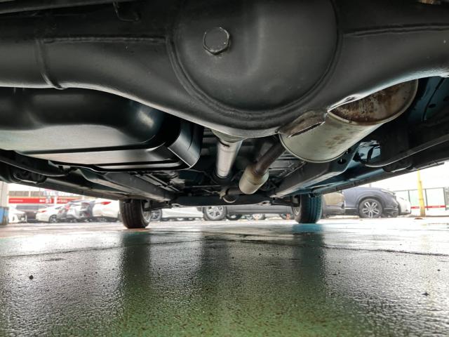 デイズ（新潟県長岡市）