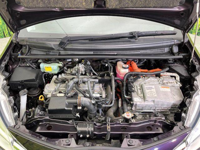 ヴィッツ（新潟県新潟市東区）