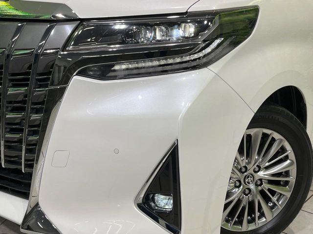 アルファード(新潟県長岡市)