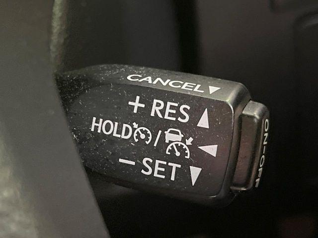 アルファード(新潟県長岡市)