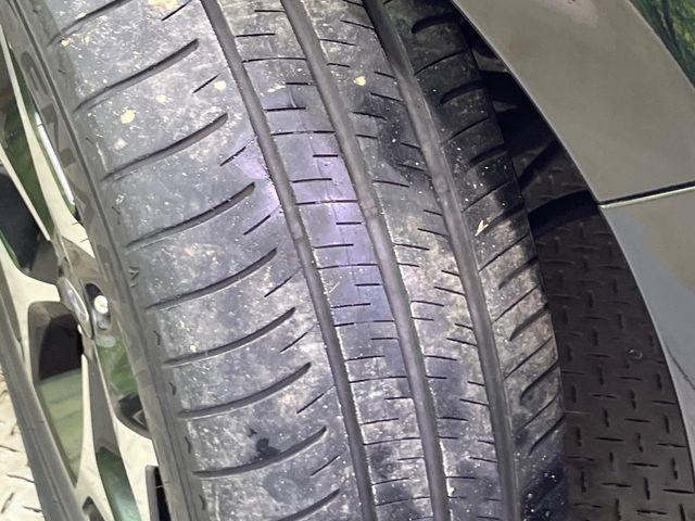 フォレスター（新潟県新潟市南区）