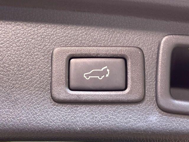 フォレスター（新潟県新潟市南区）