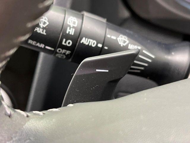 フォレスター（新潟県新潟市南区）