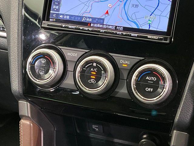 フォレスター（新潟県新潟市南区）