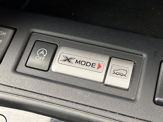 フォレスター（新潟県新潟市南区）