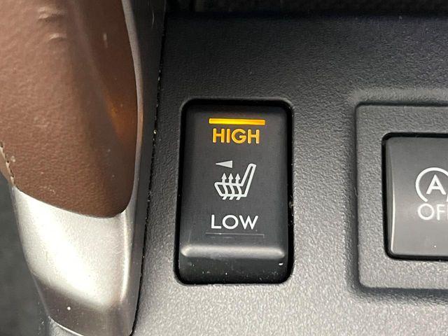 フォレスター（新潟県新潟市南区）