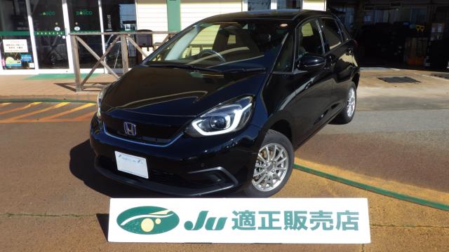 フィット（新潟県新発田市）