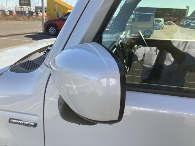 ハスラー(新潟県新潟市西蒲区)