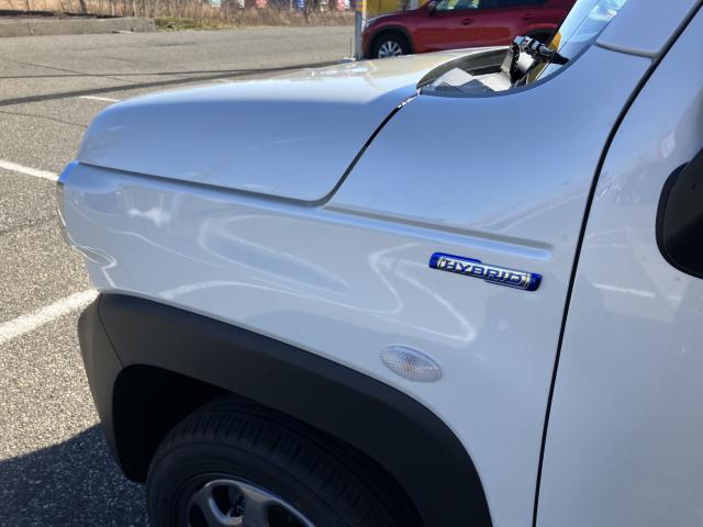 ハスラー(新潟県新潟市西蒲区)