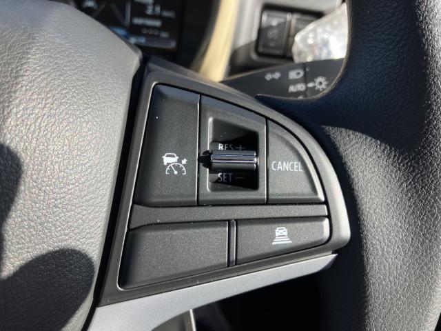 ハスラー(新潟県新潟市西蒲区)