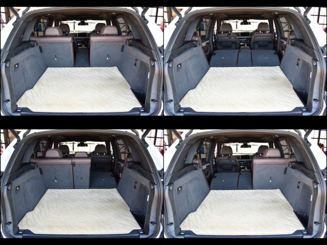 BMW X5(新潟県新潟市西区)