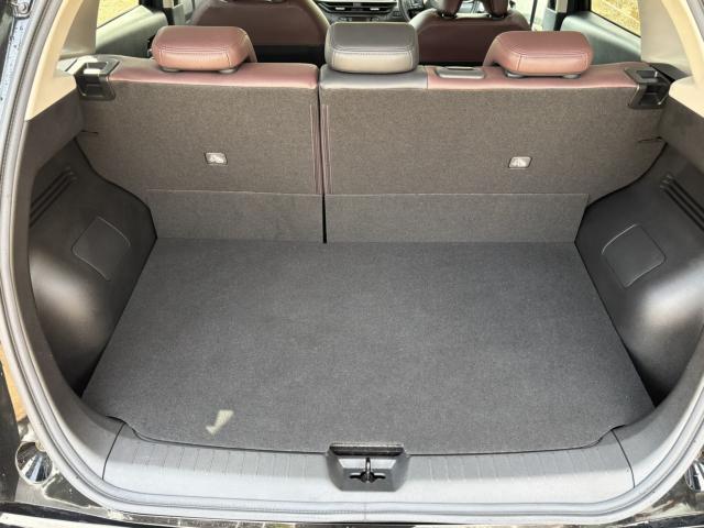 オーラ（新潟県上越市）画像26