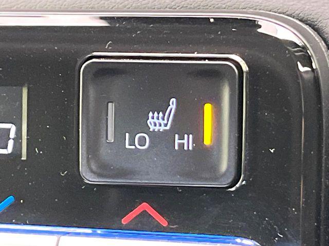 ヴォクシー(新潟県新潟市東区)