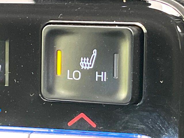 ヴォクシー(新潟県新潟市東区)